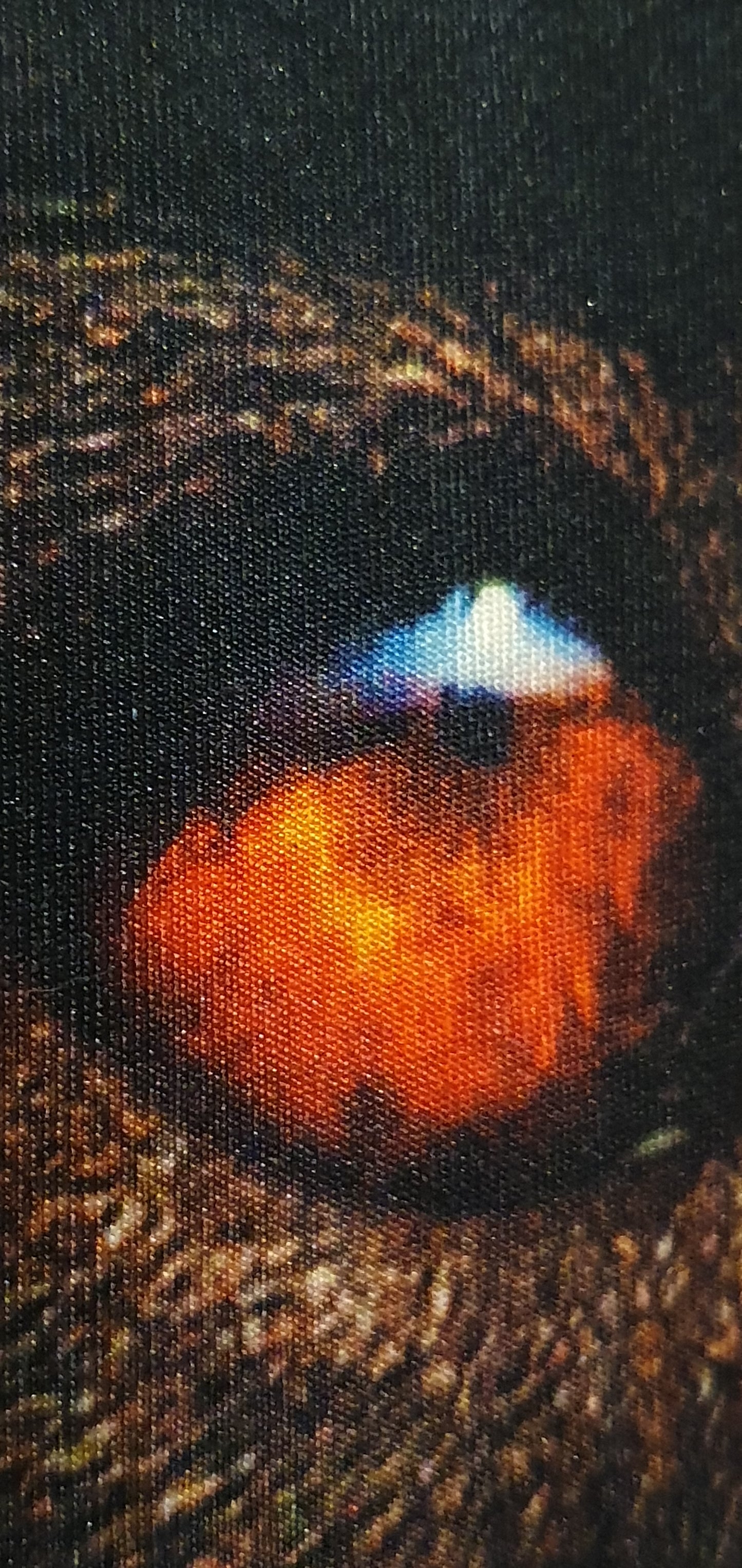 Rottweiler T-Shirt upcoming dog show in india kennel club of india next dog show kci dog show calendar custom dog t shirts for humans dog t shirts india funny unique graphic t shirts t shirts with dog faces cute dog shirts dog t shirts for humans dogteeshop dog lover t shirt dog t shirts for humans dog clothes online india dog print t shirts india