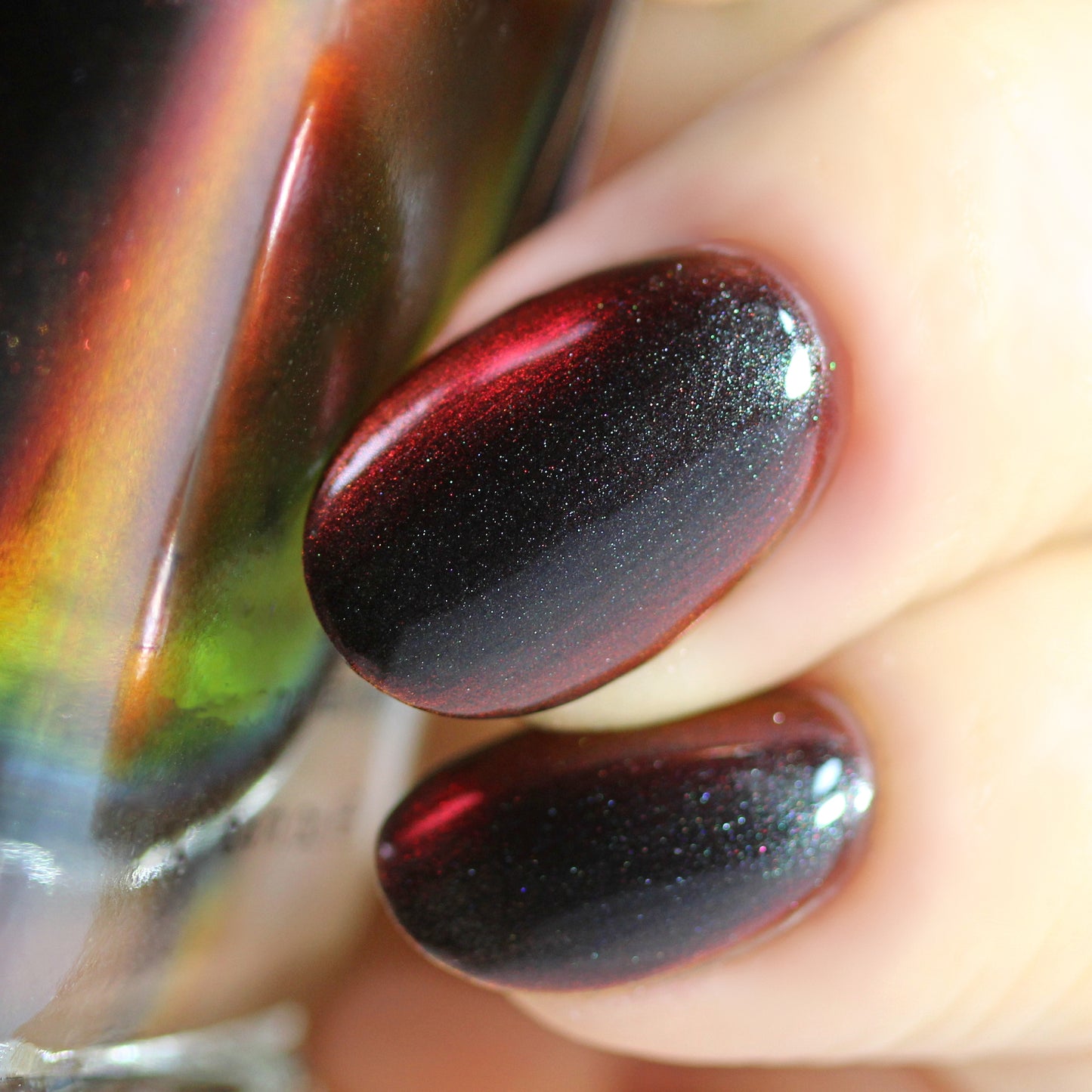 Black Hole