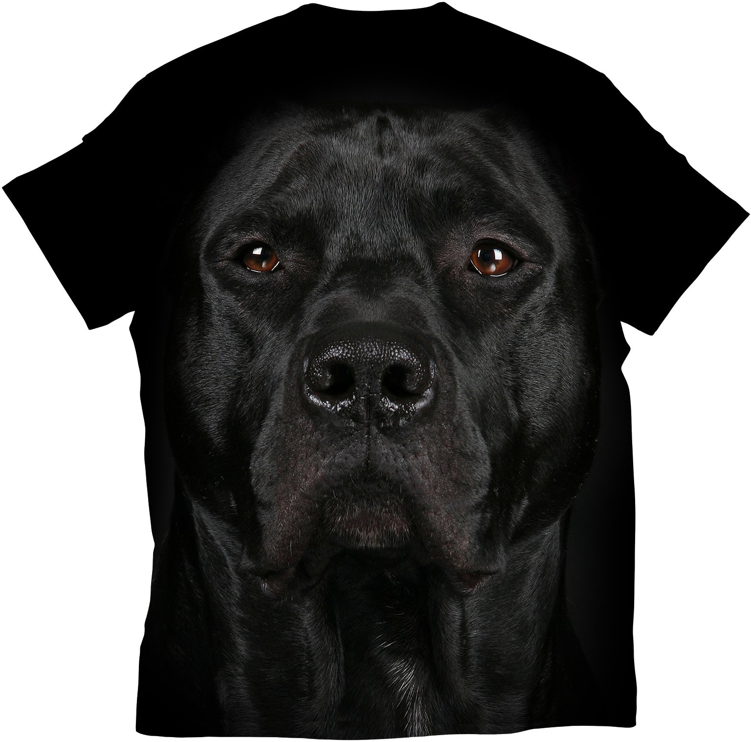 standout black pitbull t shirt dog face printed t shirt redwolf souled store bewakoof osomwear dog show in india the kennel club of india dog t shirts for humans funny dog shirts dog graphic t shirts dogteeshop dog lover t shirt dog clothes online dog print t shirts india pet lover t shirt 3d animal print t shirts pet supply the mountain t shirt pit bull t shirt