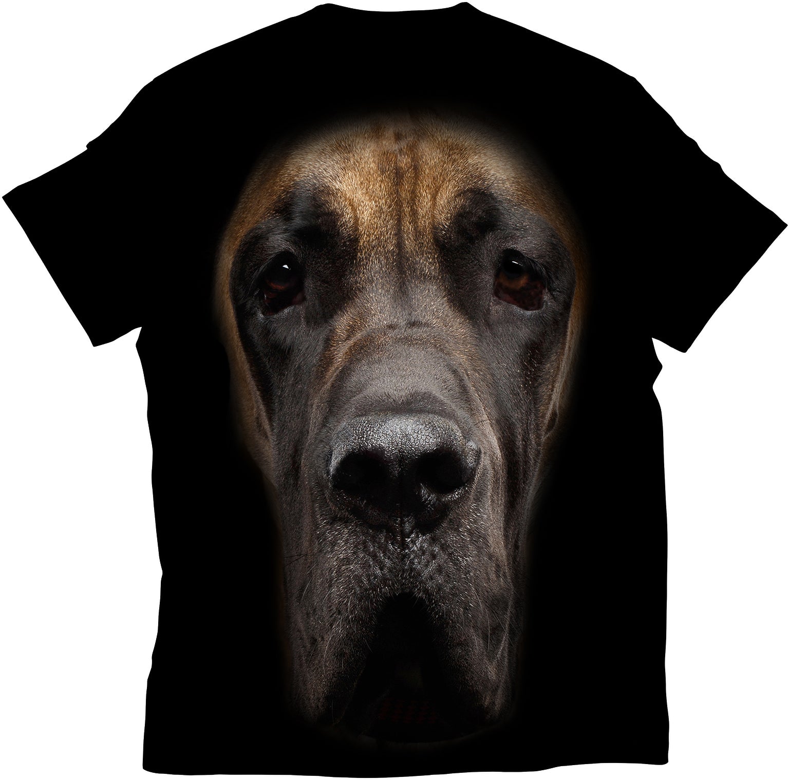 standout dog tshirt india great danes of instagram dogs of instagram dog great dane love great danes danes of instagram gentle giant great dane lovers puppies of instagram great danes unlimited great dane photography great dane world dane big dog puppy love dogs puppies dog lovers dog life blue great dane great dane nation