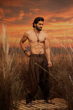 Load image into Gallery viewer, Brown harem pant india harem trousers standout hippie pants harem pants men harem pants women patiyala pant unisex yoga harem pant loose pant printed bohemian pant boho pant the veshti company harem pants
